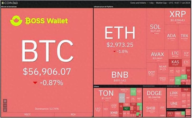 学会使用Trust Wallet钱包市场分析工具，提升投资决策能力